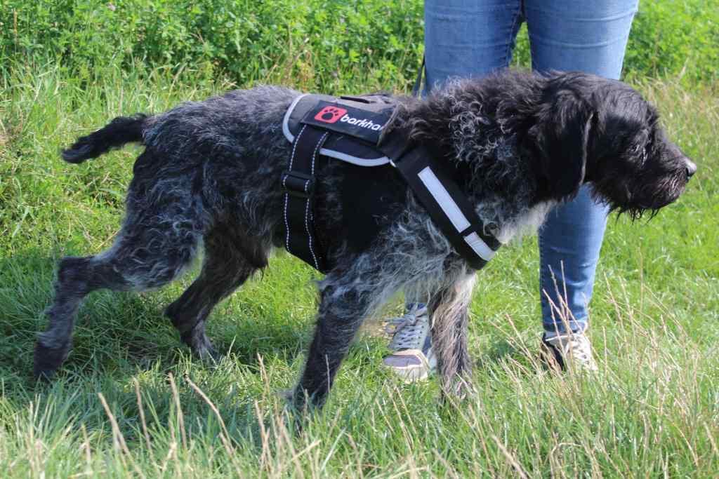 1000085669 cmpr cmpr