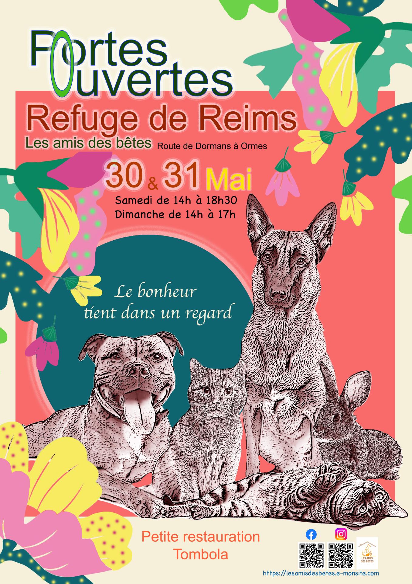 4 affiche avec calques e te 2026 refuge copie 1