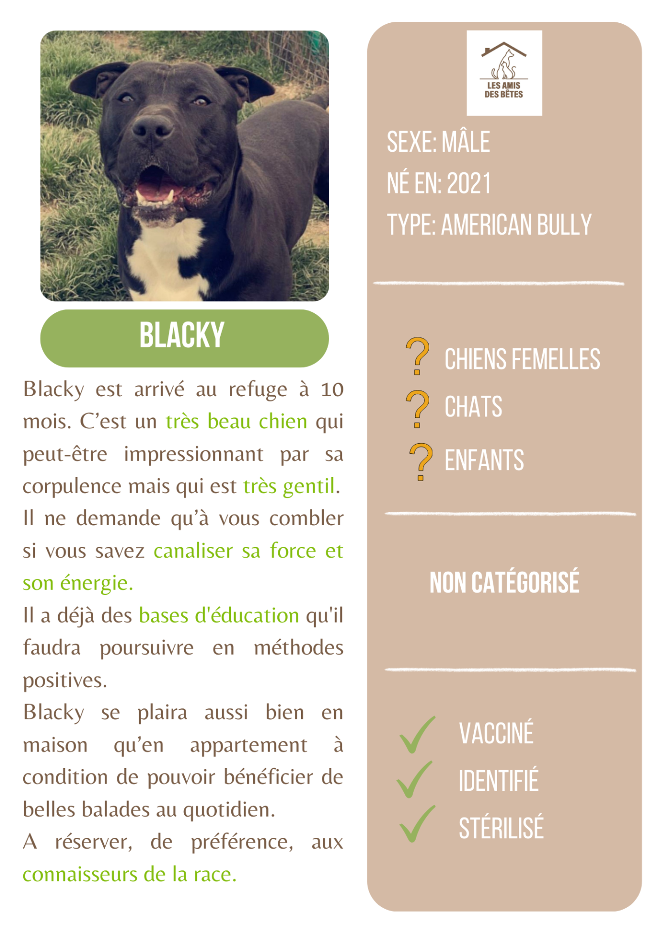 Blacky 1 1