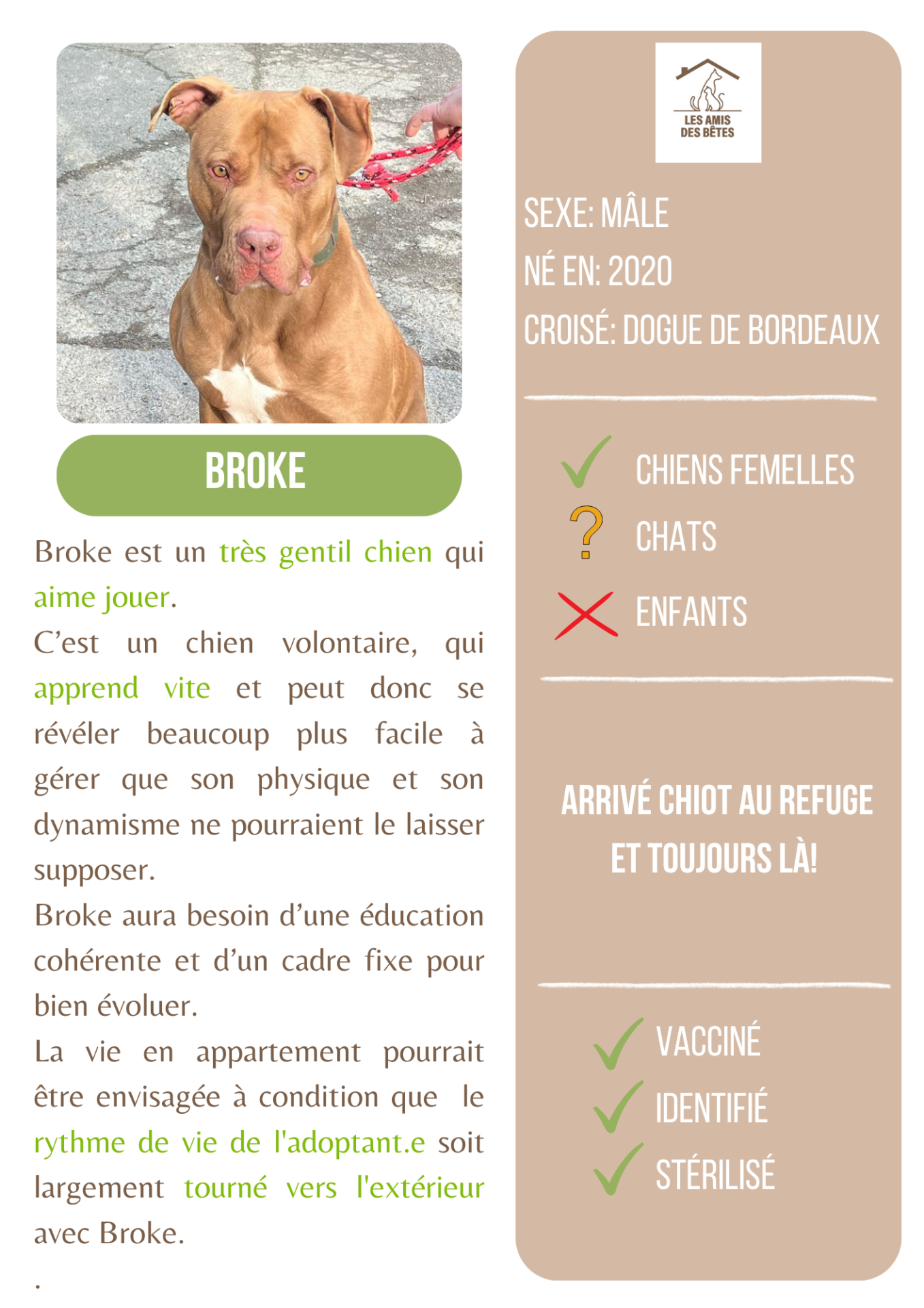 Broke 1