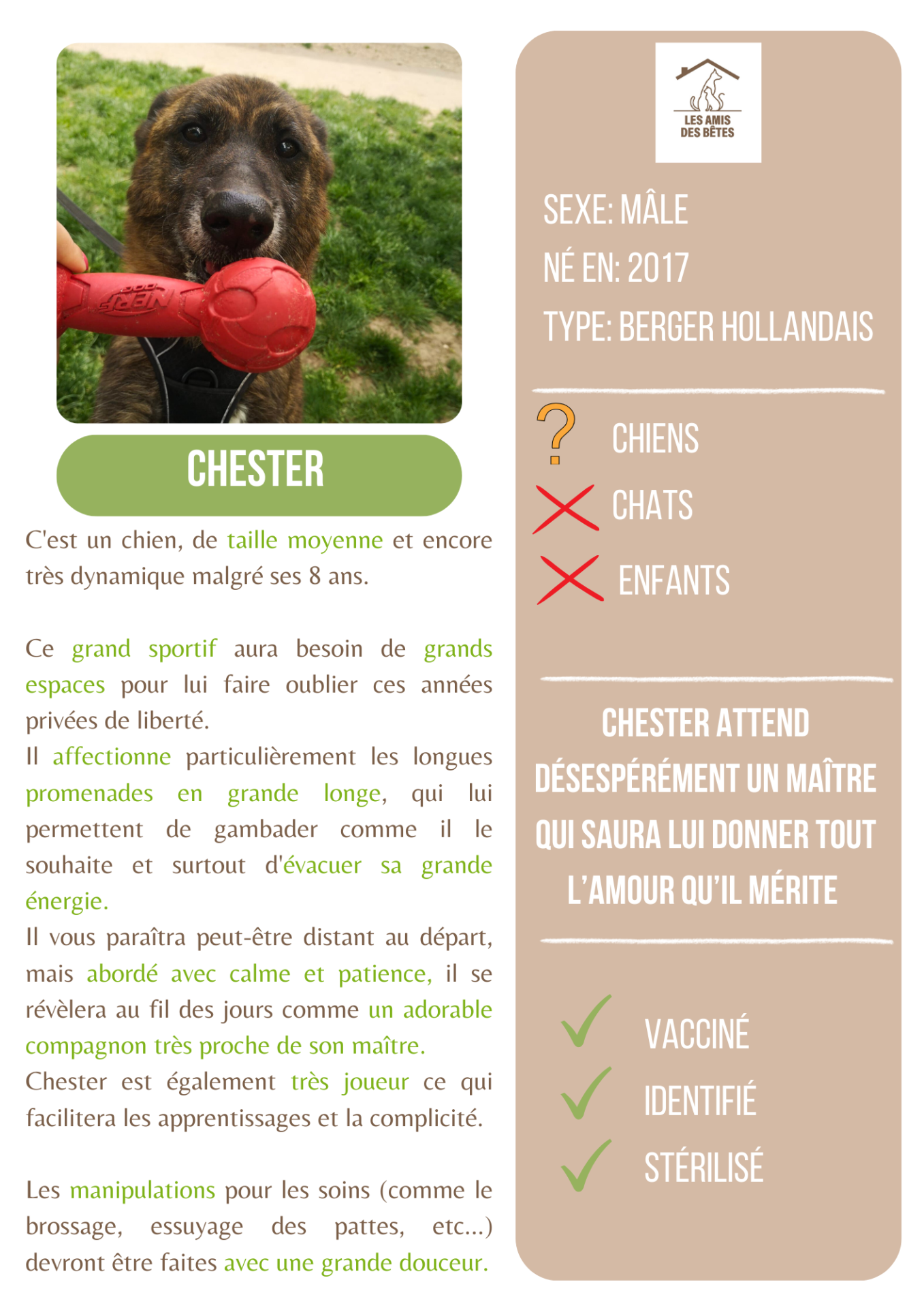 Chester