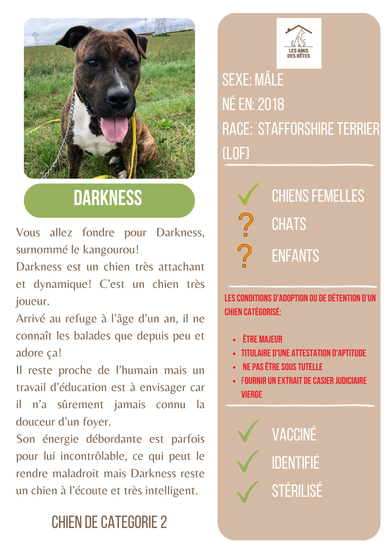 Darkness 1