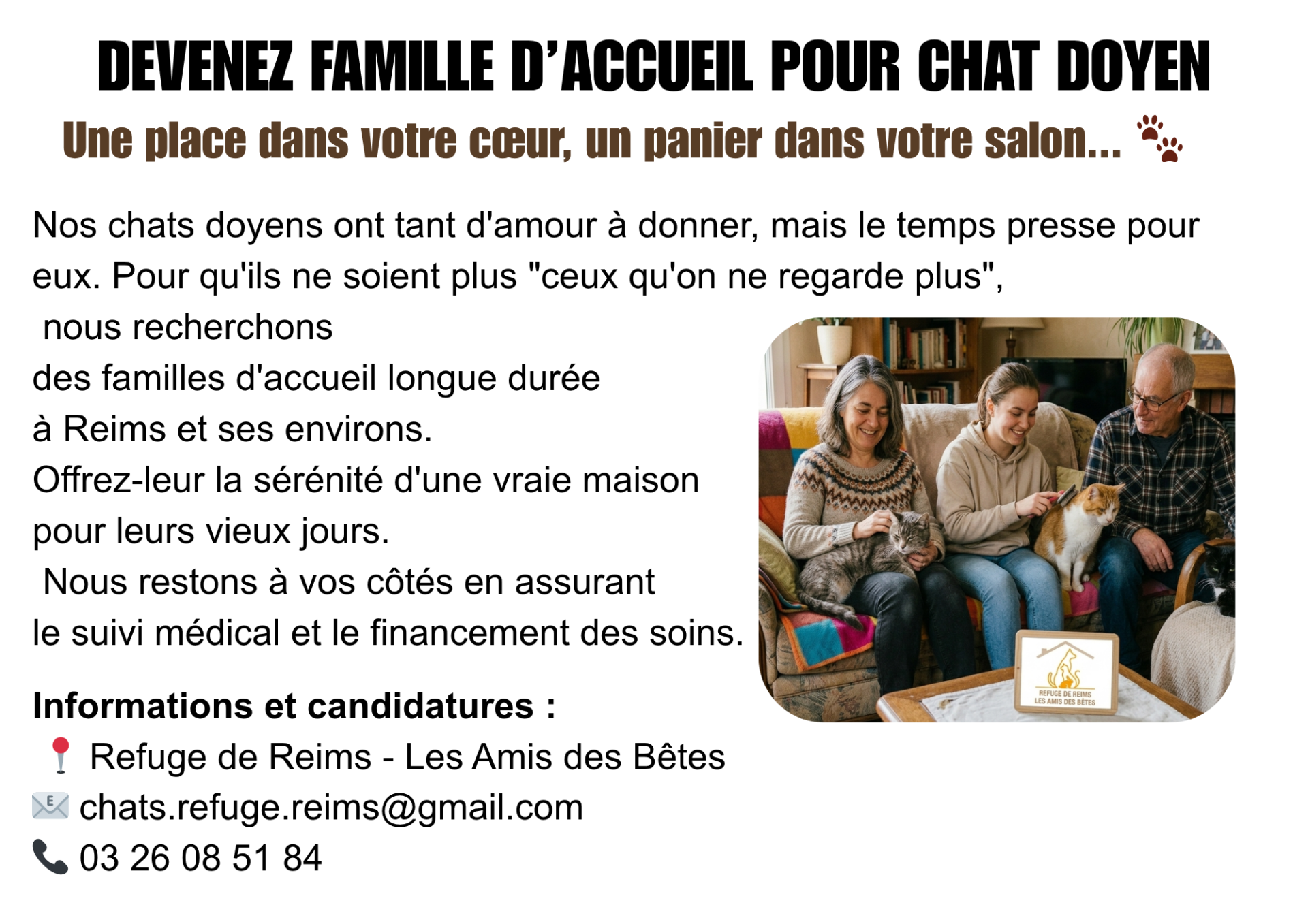Devenez famille d accueil pour chat doyen