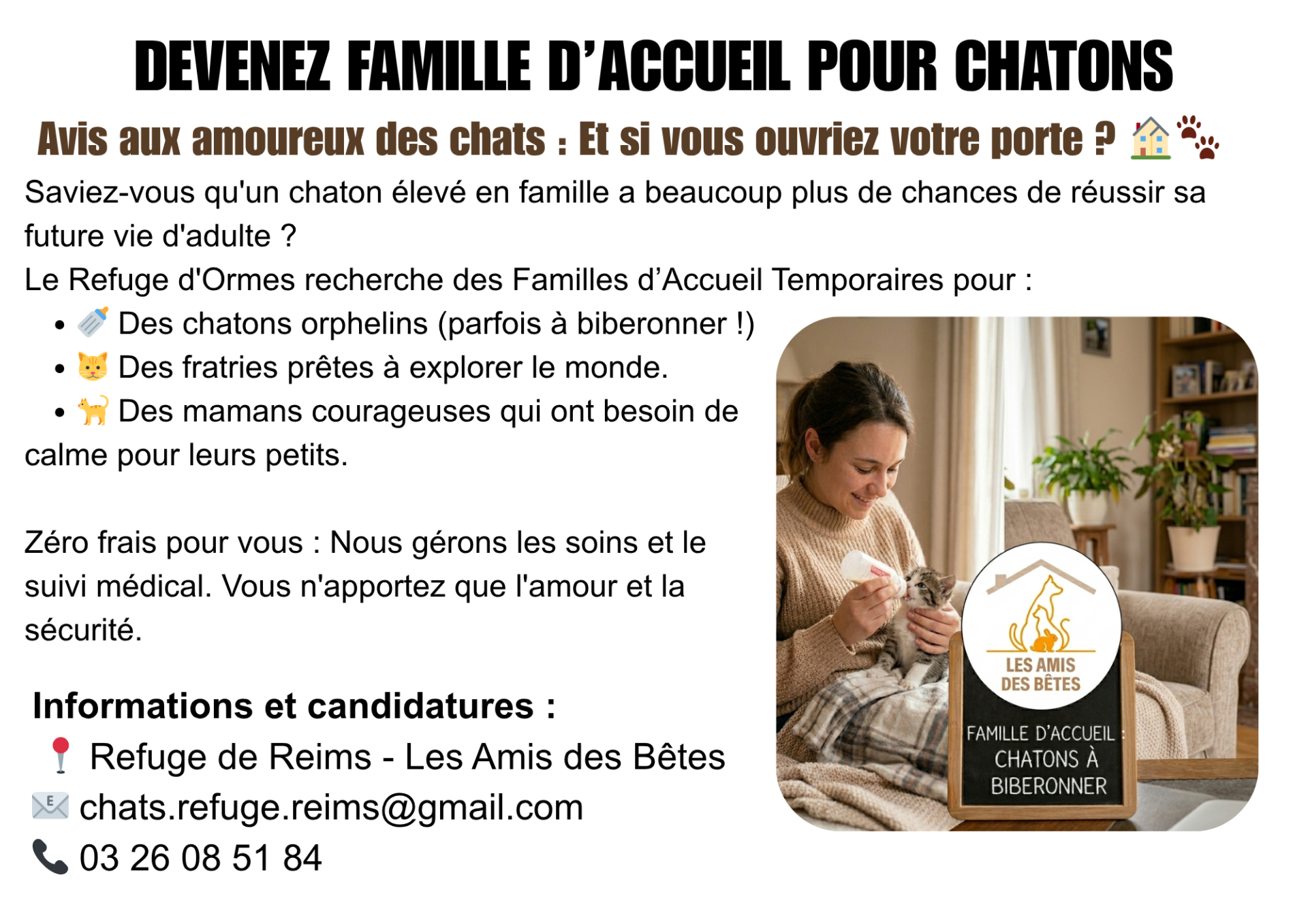Devenez famille d accueil pour chaton