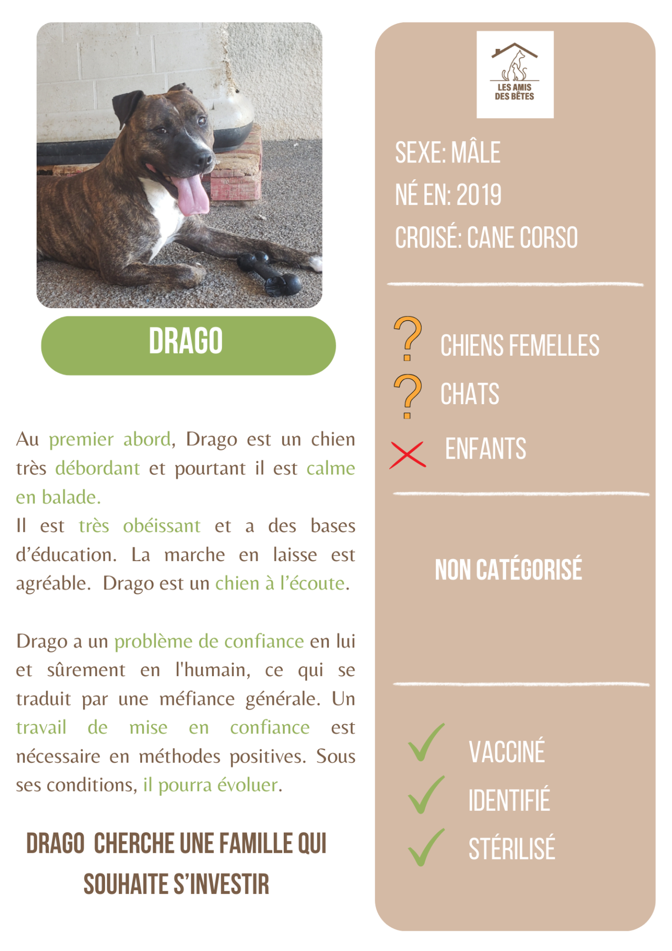 Drago