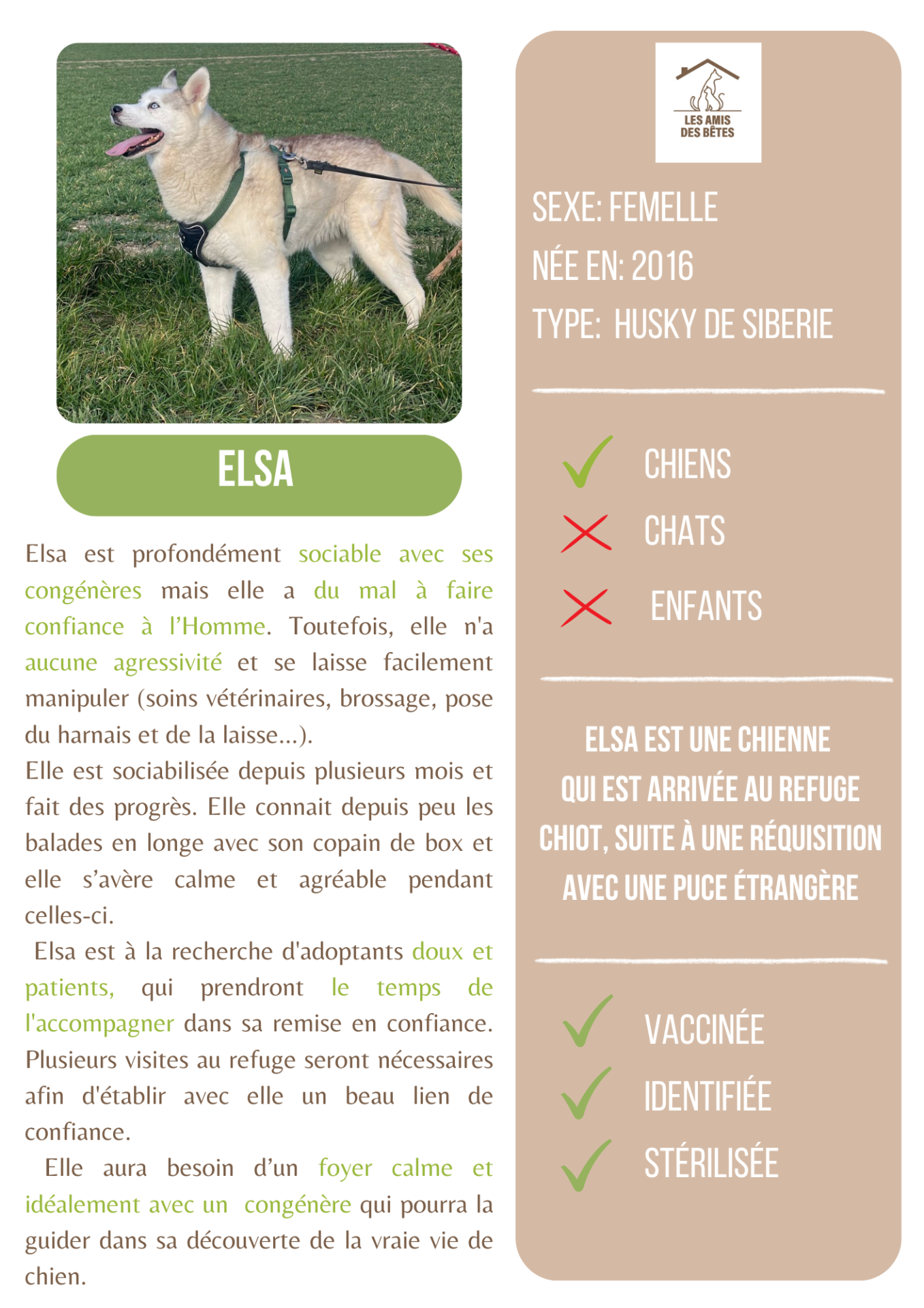 Elsa 1