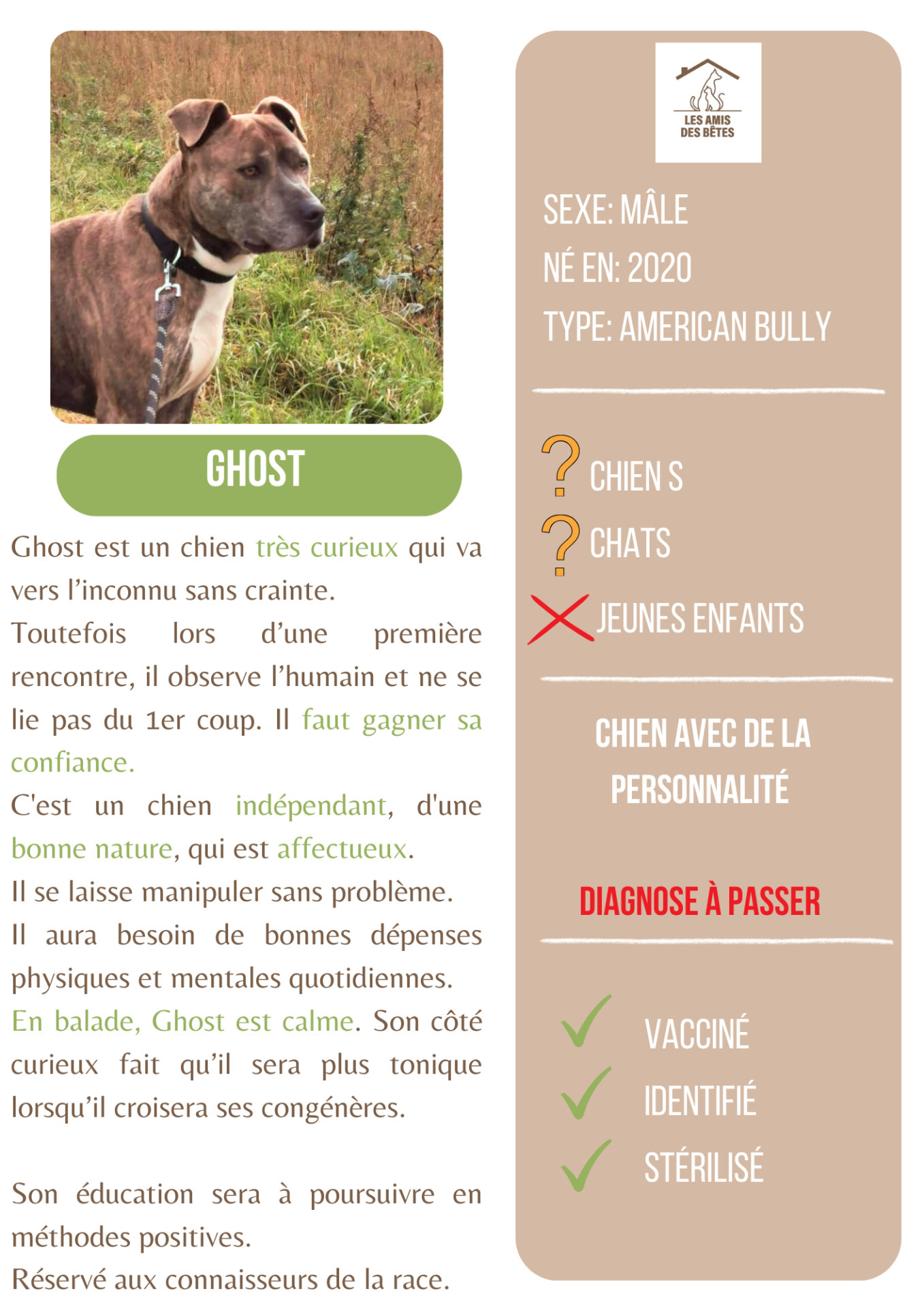 Ghost 1