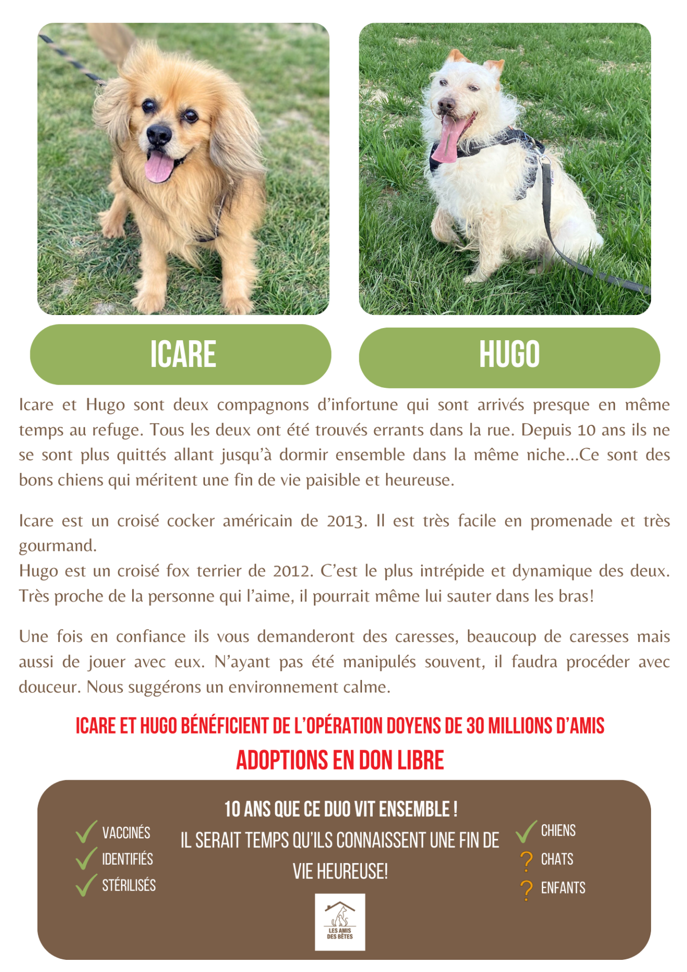Icare et hugo