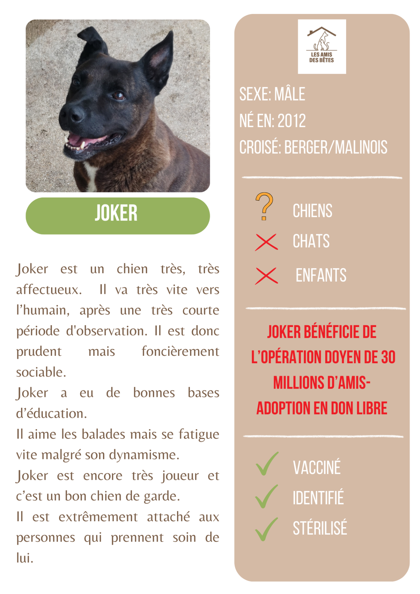 Joker 1