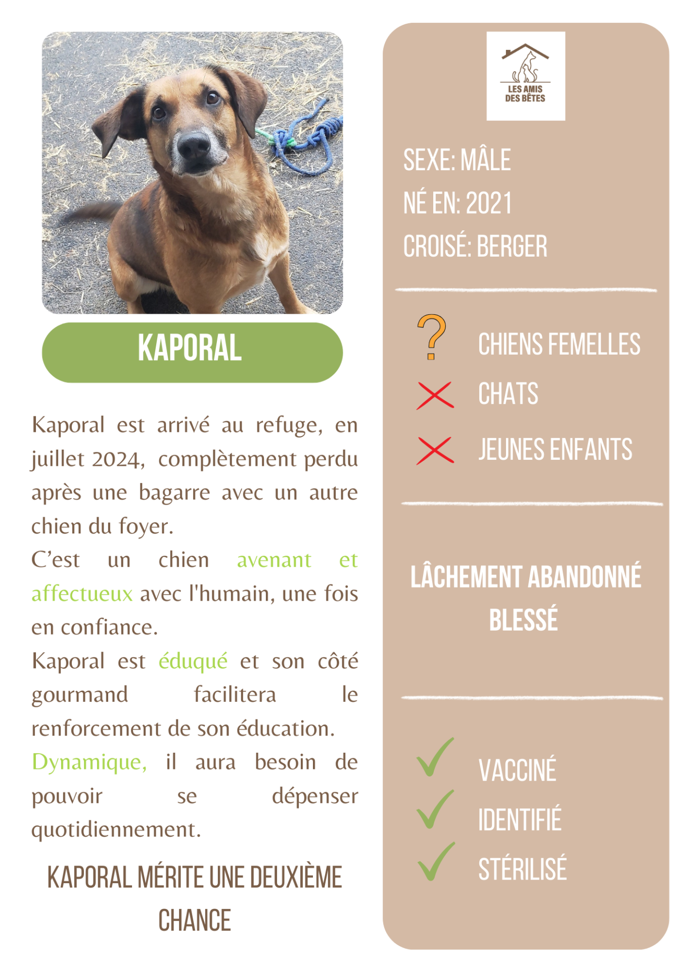 Kaporal 1