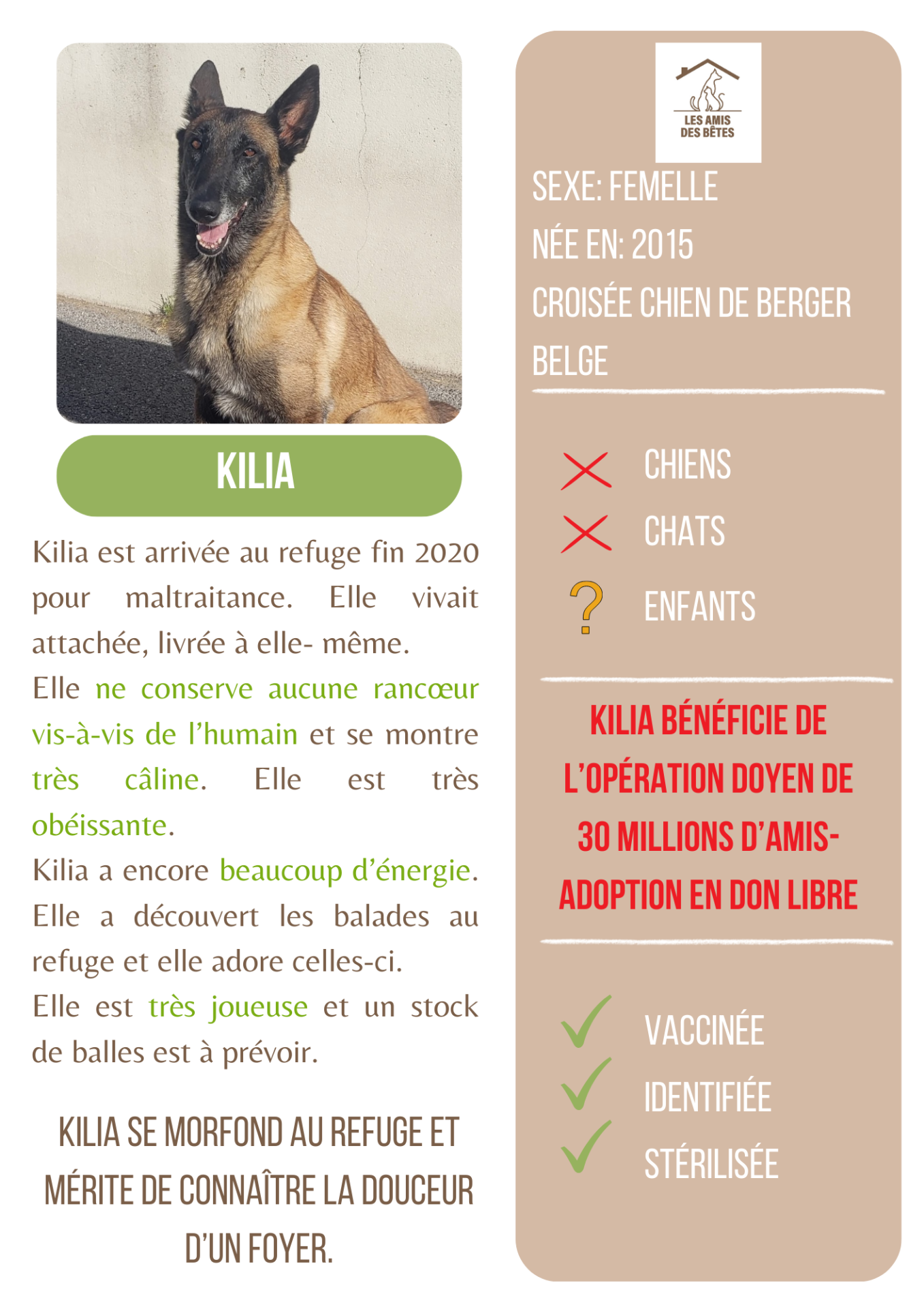 Kilia 2