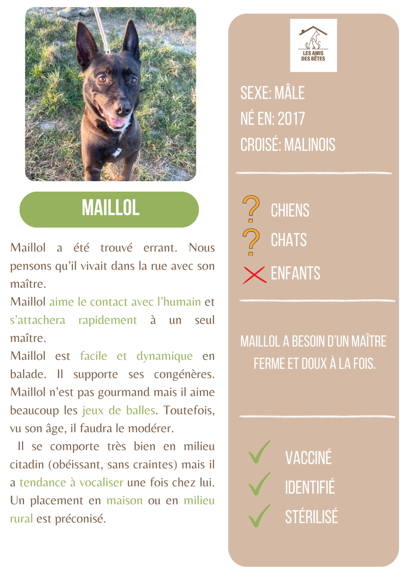 Maillol 1