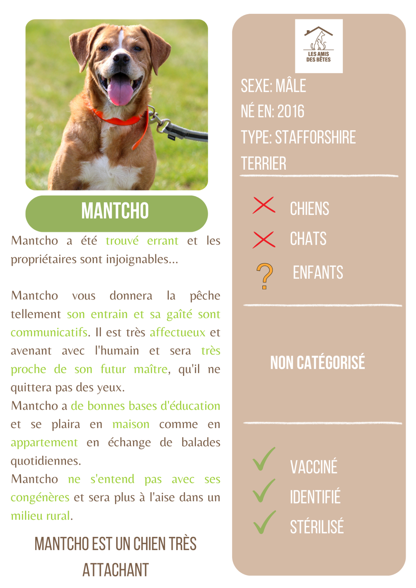 Mantcho 1