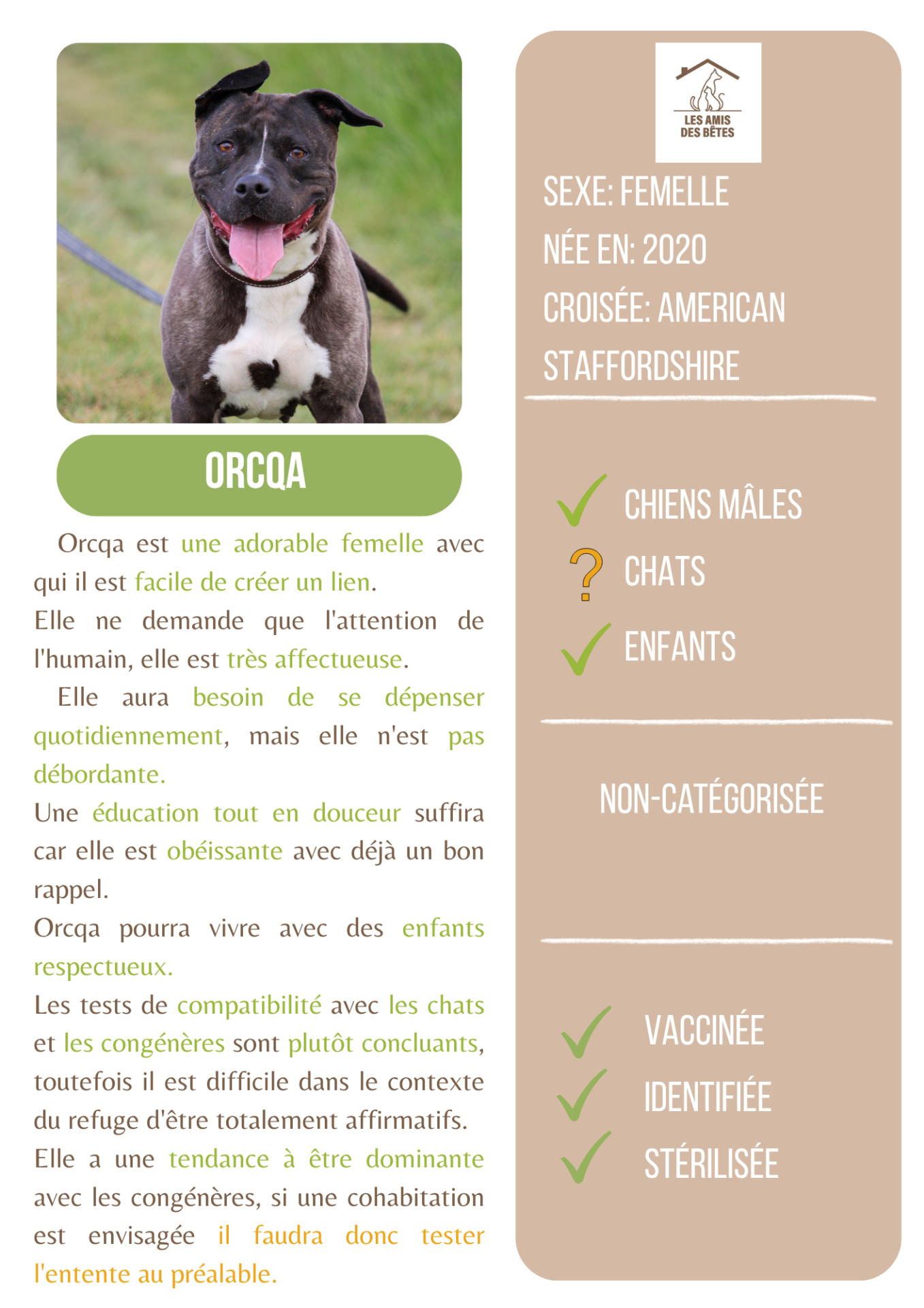 Orcqua 3