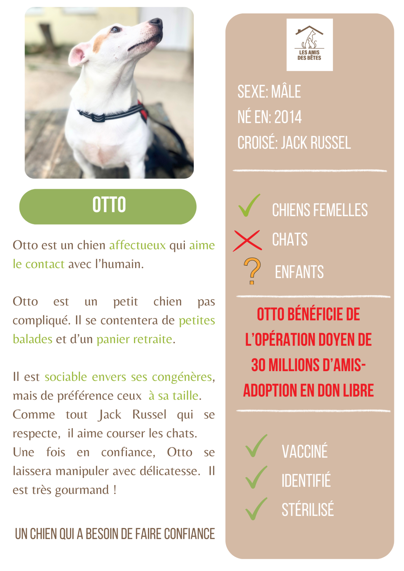 Otto 1