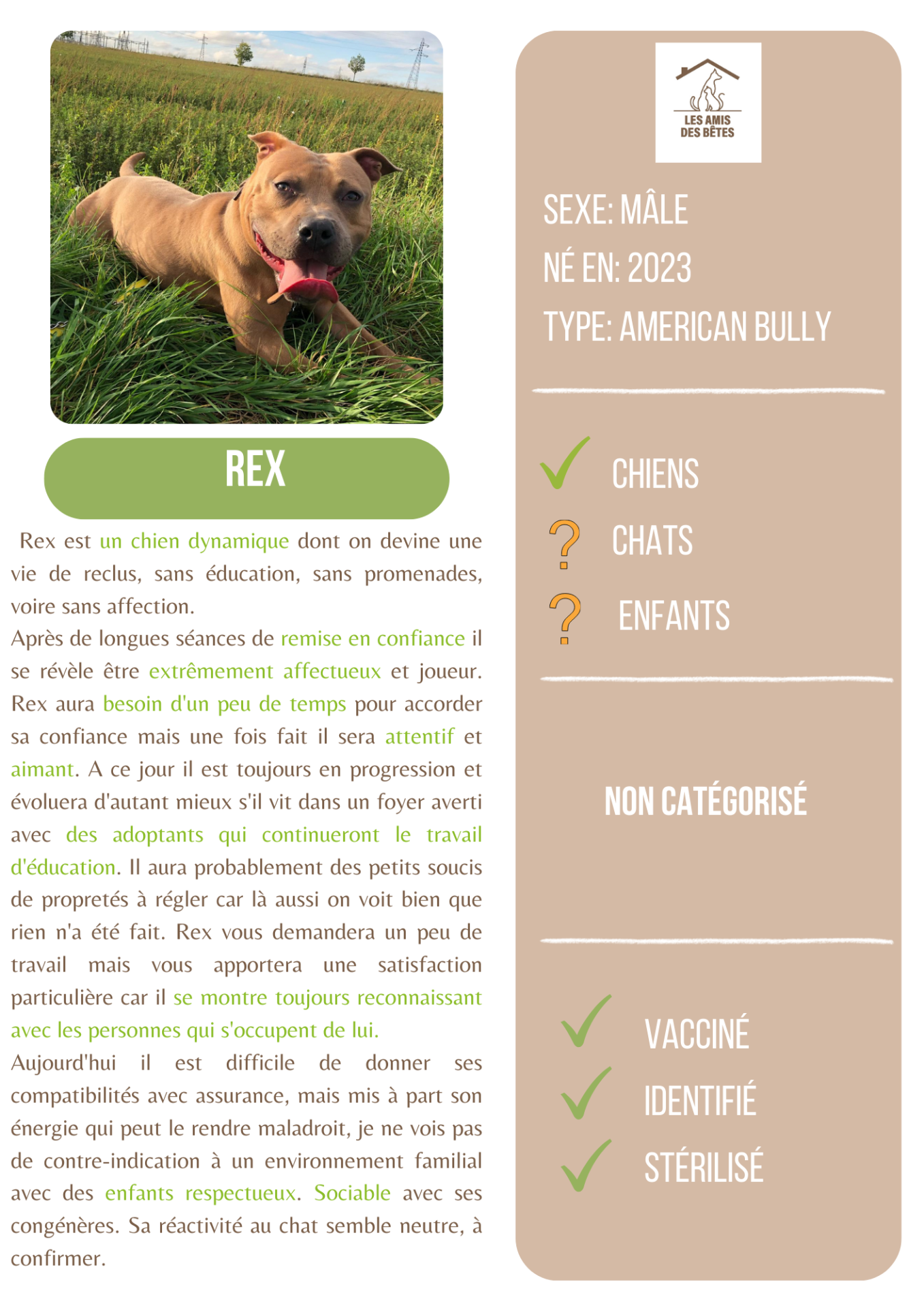 Rex
