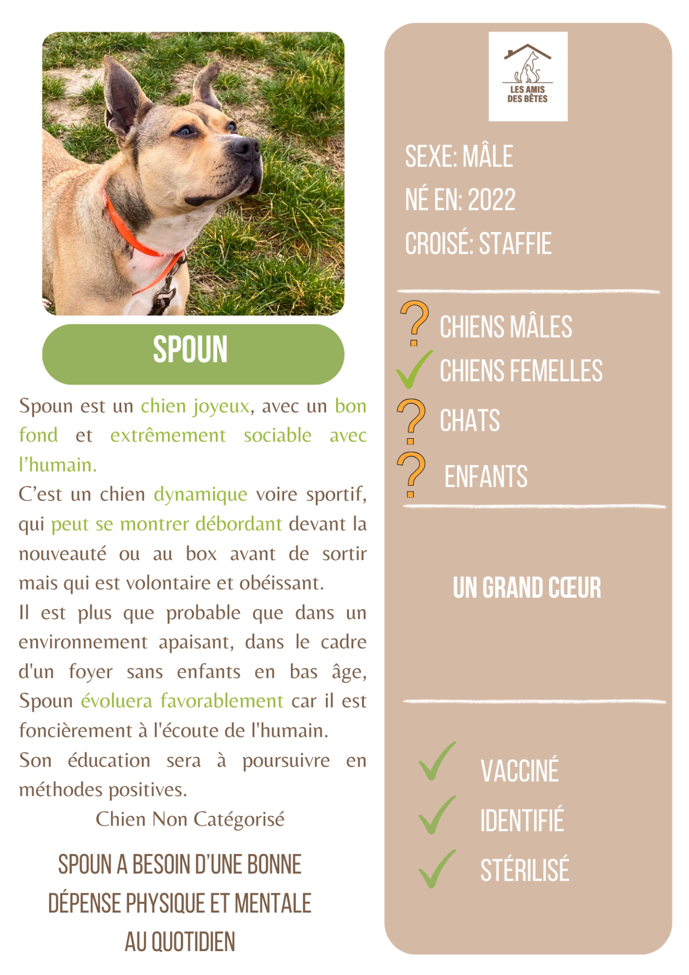 Spoun 1
