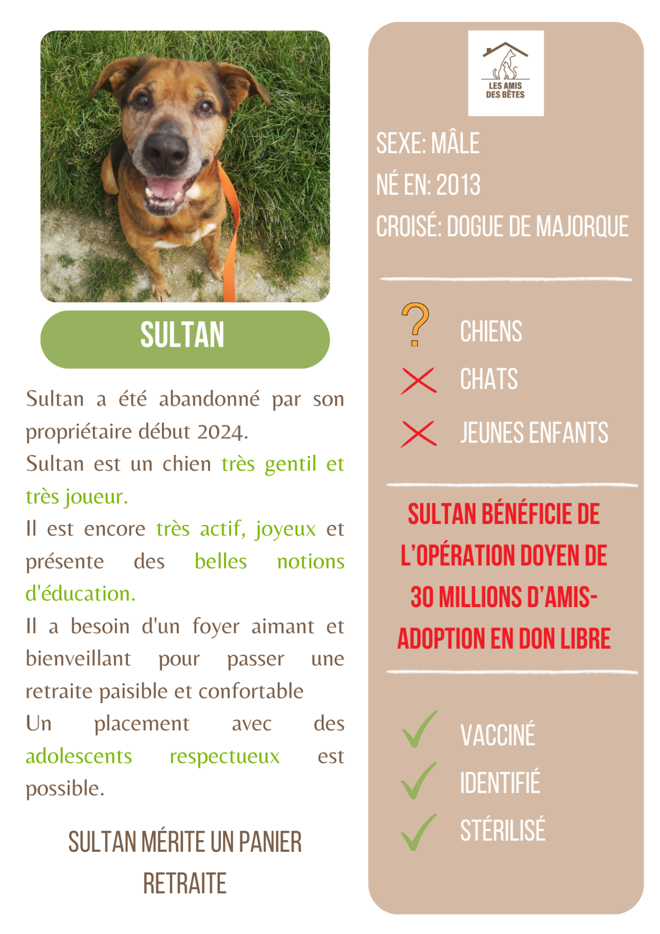 Sultan 2