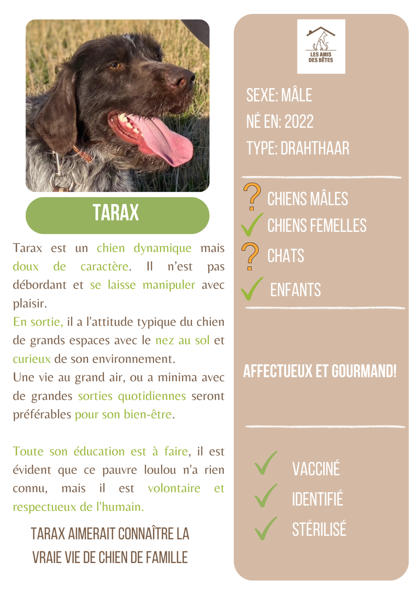 Tarax 1