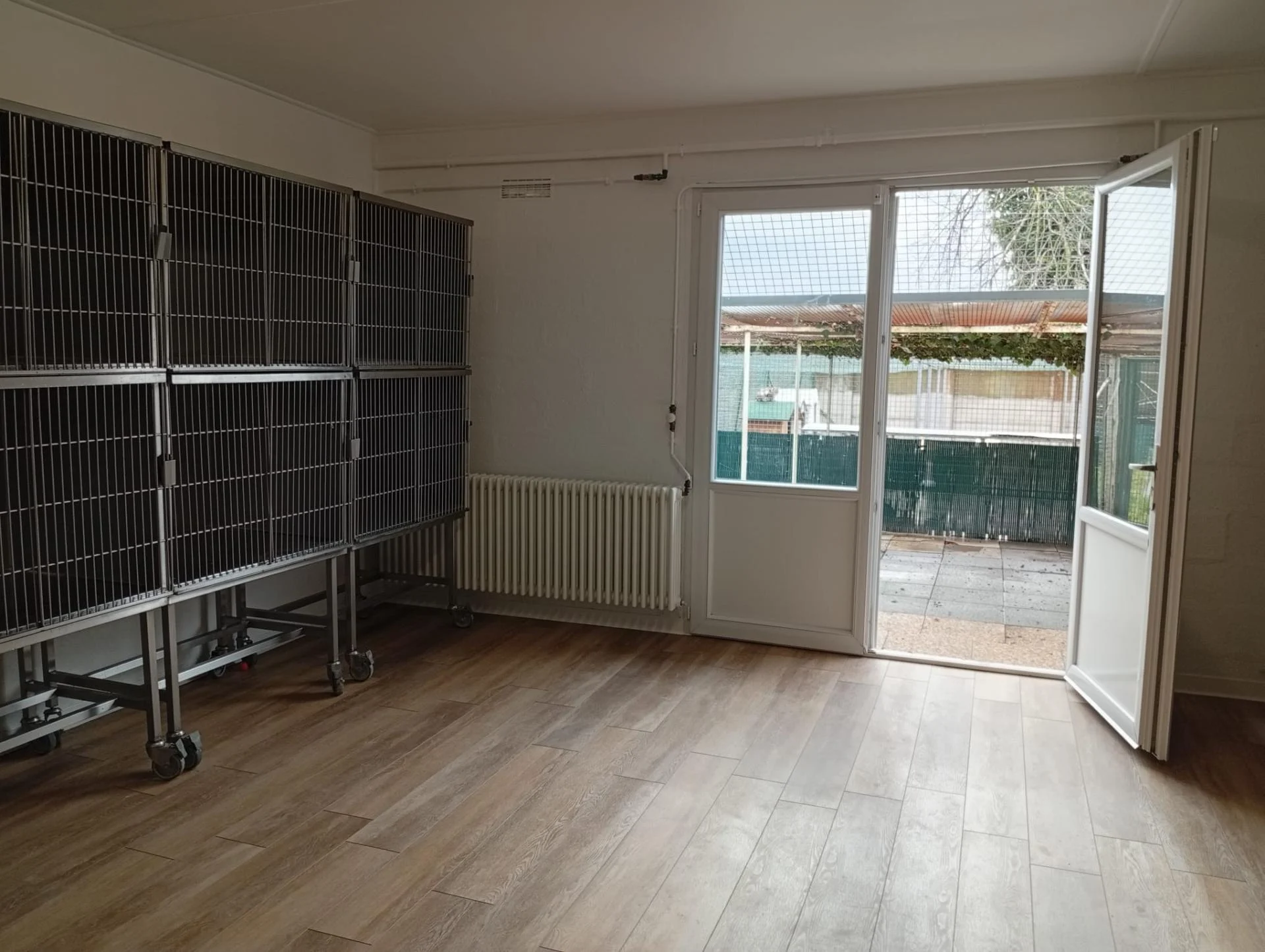 Whatsapp image 2026 02 20 at 11 17 54