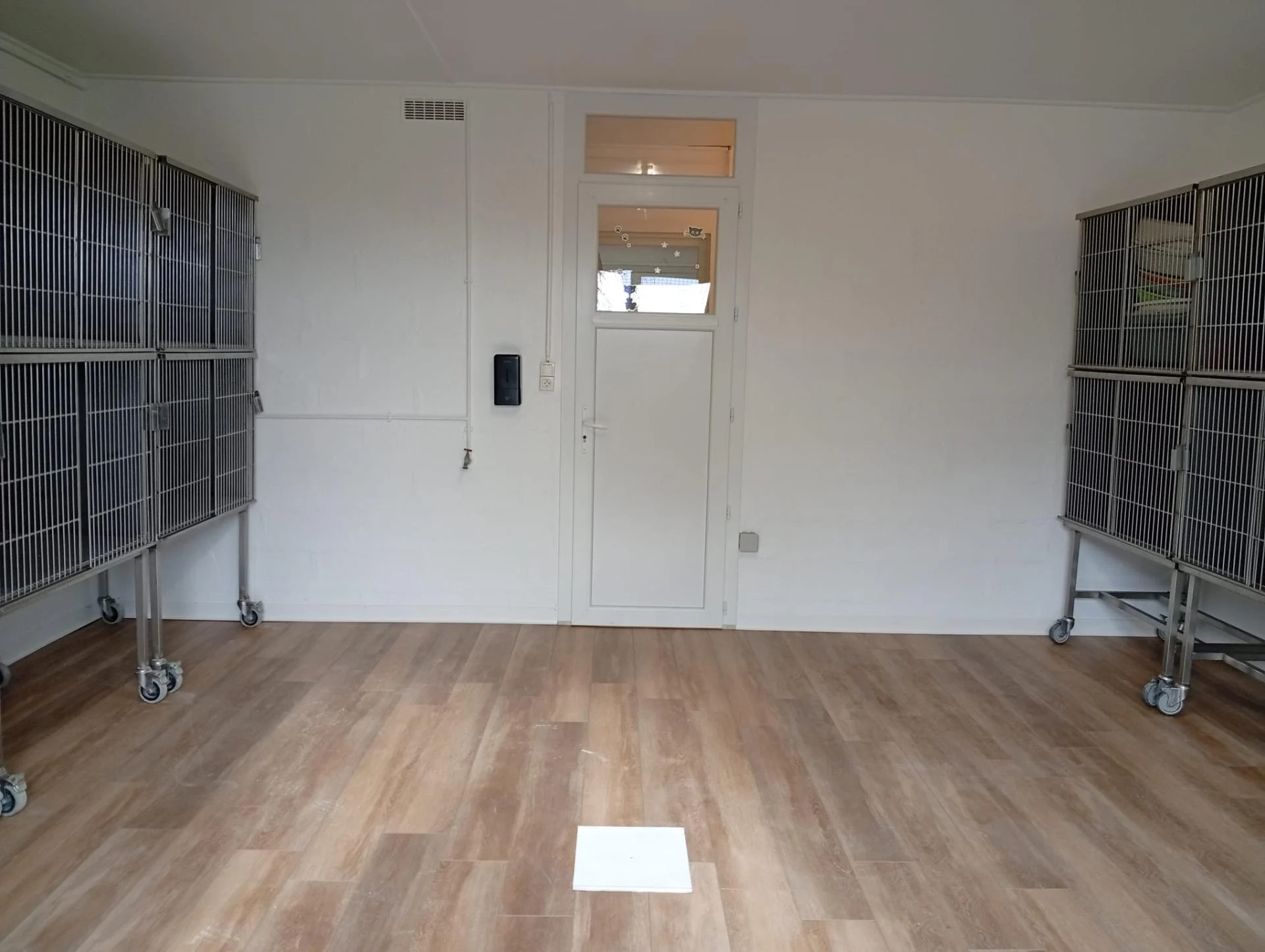 Whatsapp image 2026 02 20 at 11 17 55